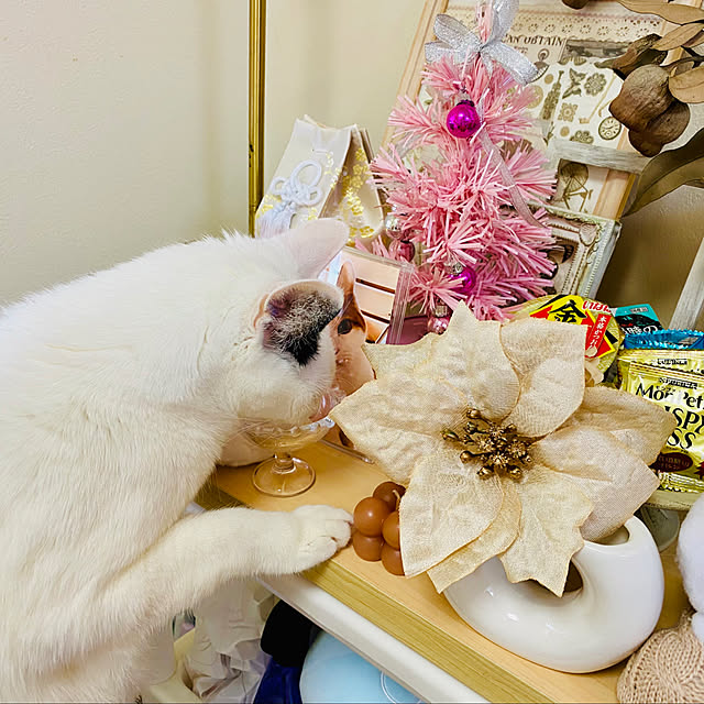 YUKAさんの部屋