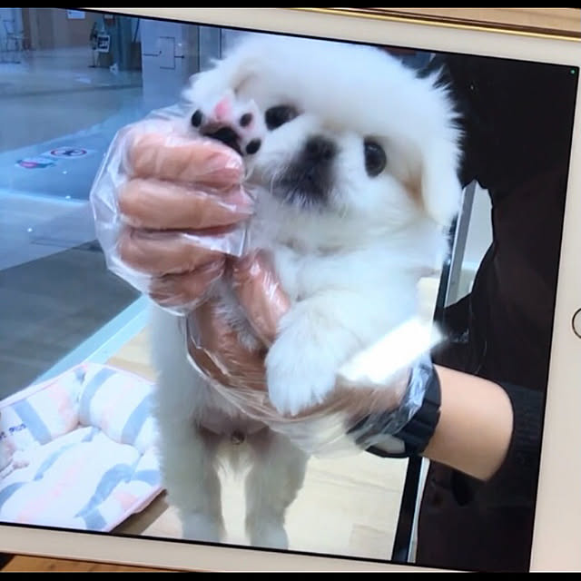marimoさんの実例写真