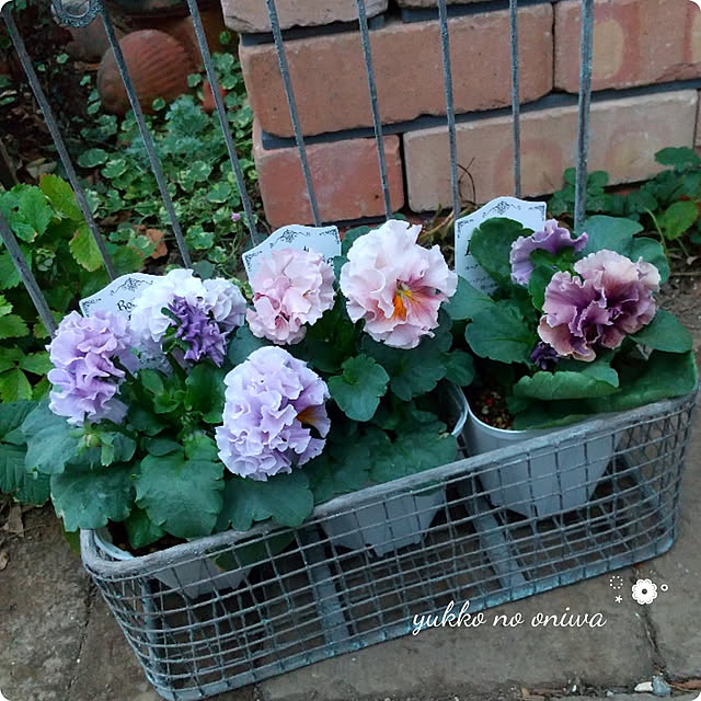 yukkoさんの実例写真