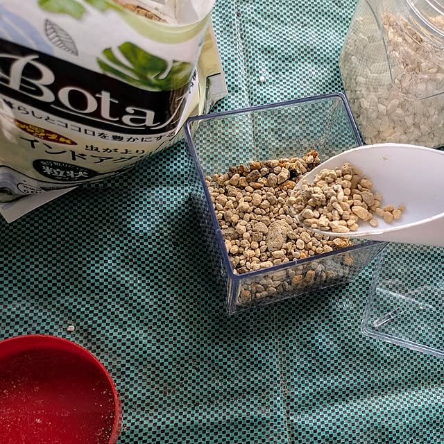 mi-saさんの部屋