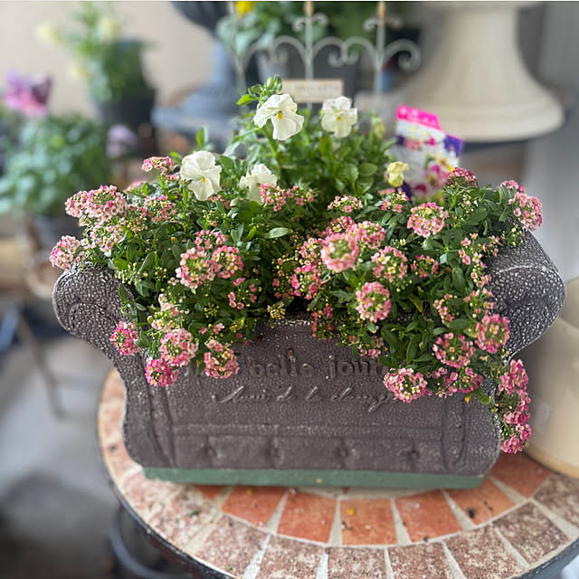 cocoさんの実例写真