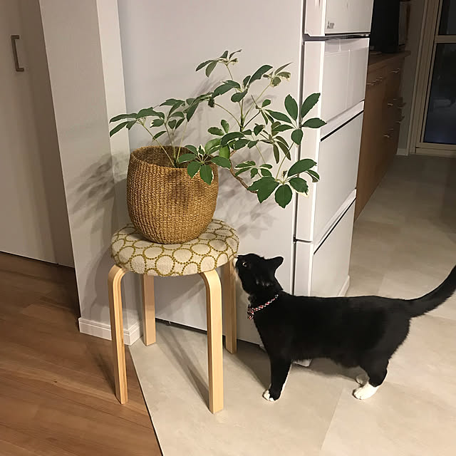 mtkさんの実例写真