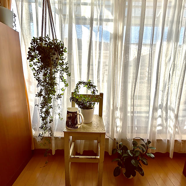 magnoliaさんの実例写真