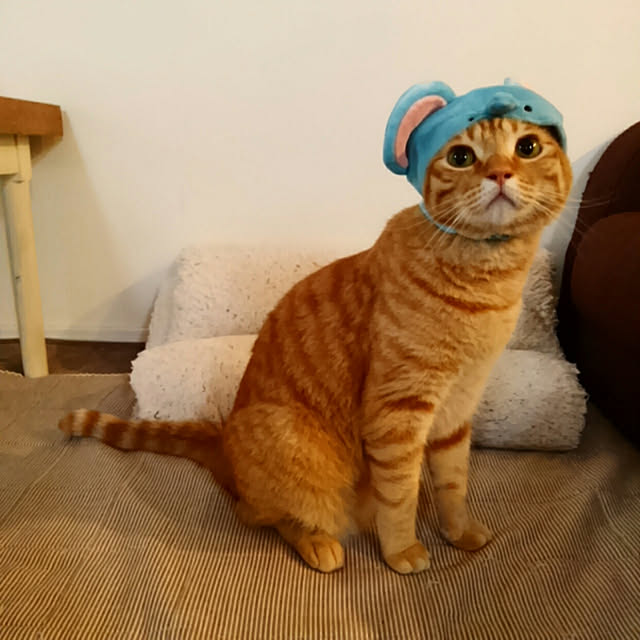 mayutan.さんの実例写真