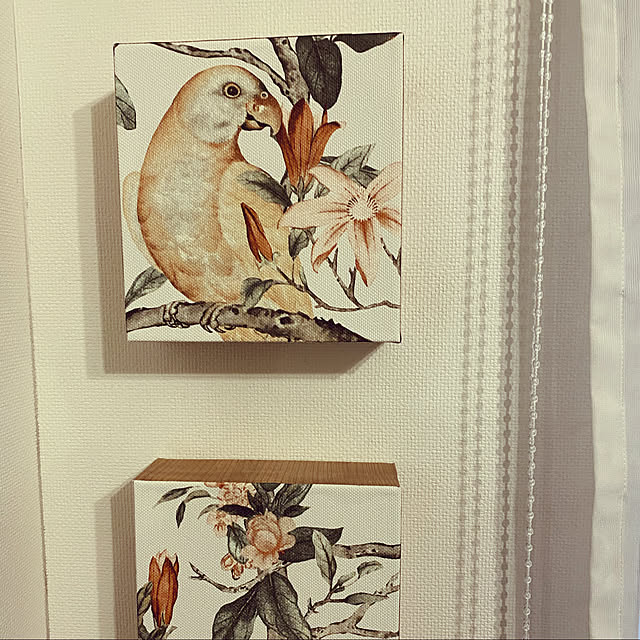 Kirichimaさんの実例写真