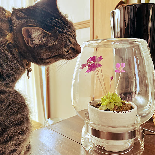 Mさんの実例写真