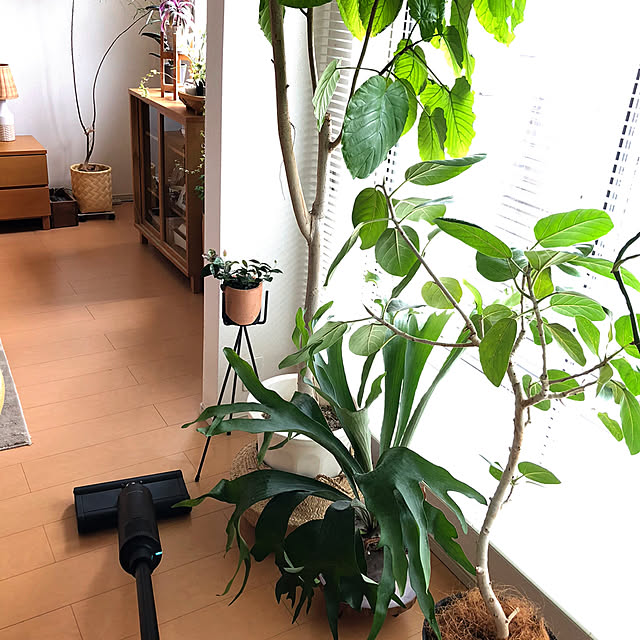 eriさんの実例写真