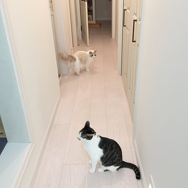 yuchiさんの実例写真