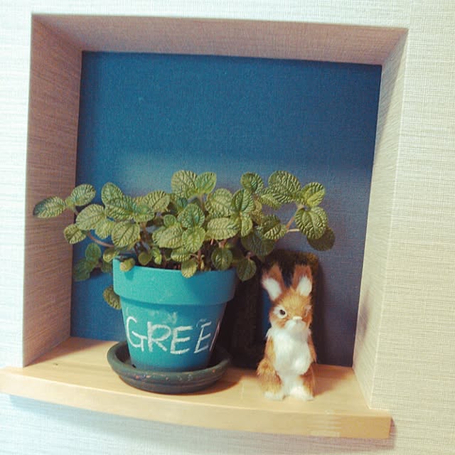 Ayumiさんの実例写真