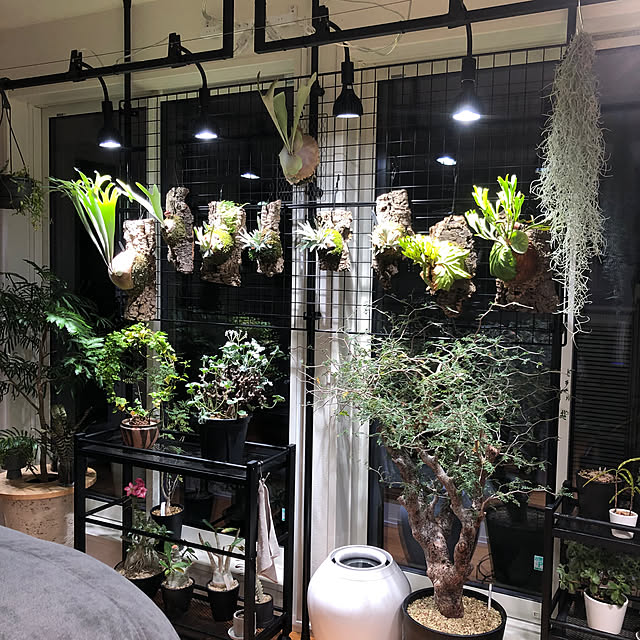 nuruiさんの部屋