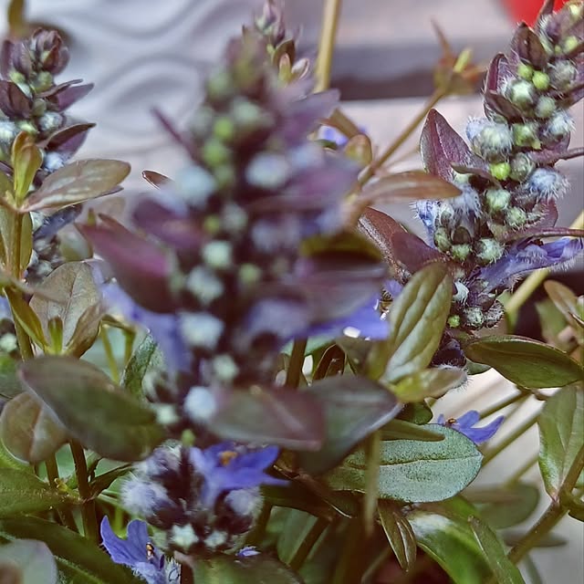 hiro.904さんの部屋