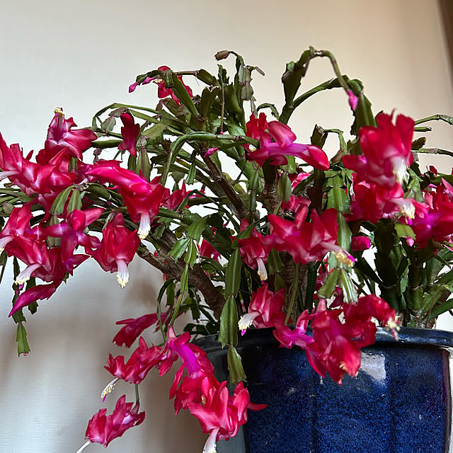 fumikoiさんの部屋