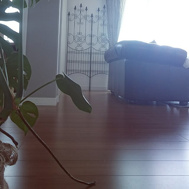 tomatoさんの実例写真