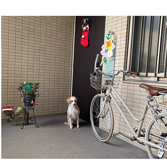 marukoさんの部屋