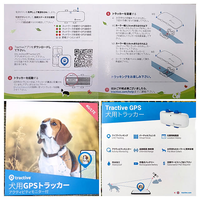 玄関/入り口/庭/ガーデニングのインテリア実例 - 2023-02-10 13:32:34