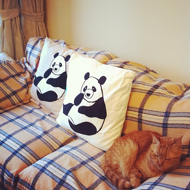 cyokotaroさんの実例写真