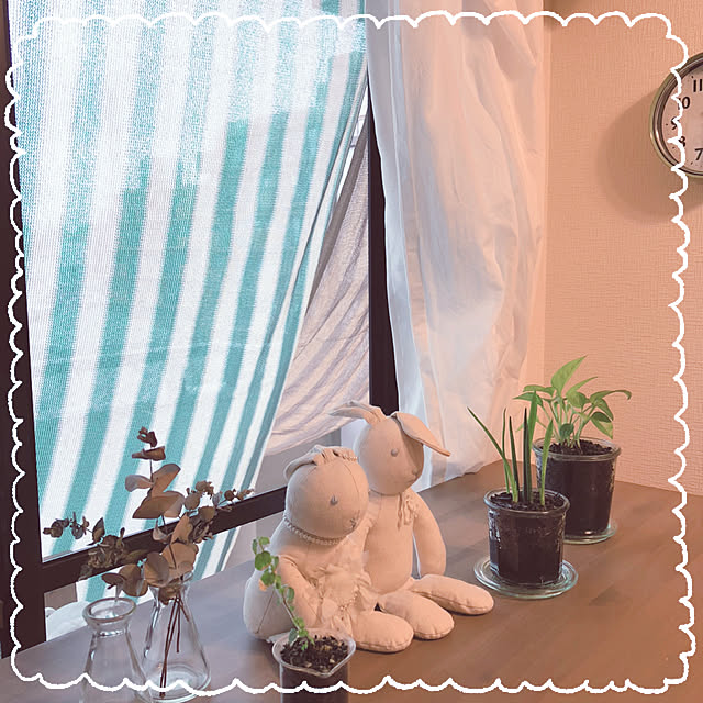 totoさんの実例写真