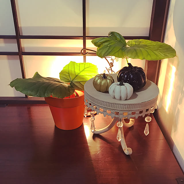 aninさんの実例写真