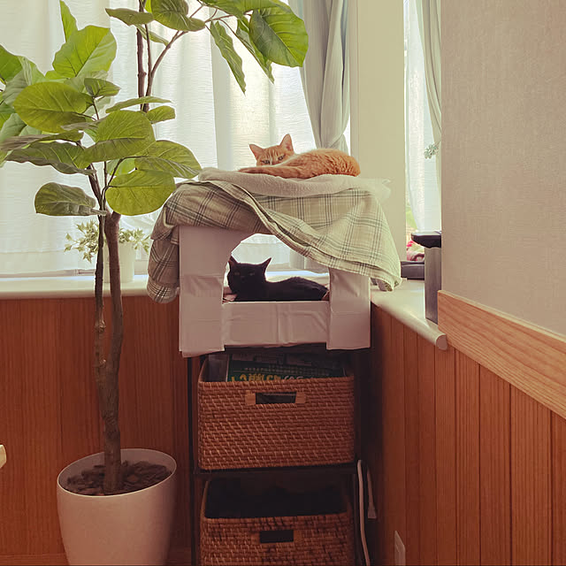 chakuron.iさんの実例写真
