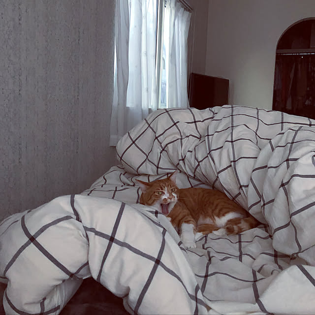 myuuさんの実例写真