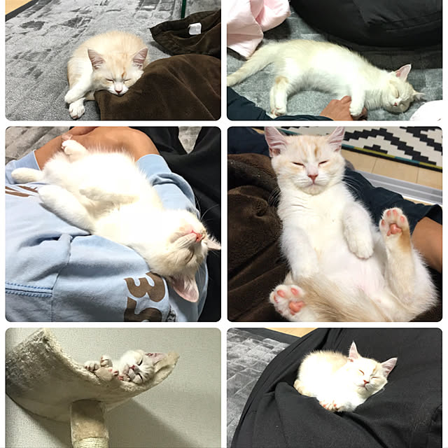 H.Tさんの実例写真