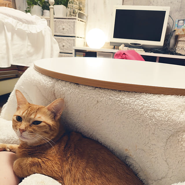 asuminさんの実例写真