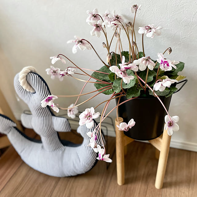 Melさんの実例写真