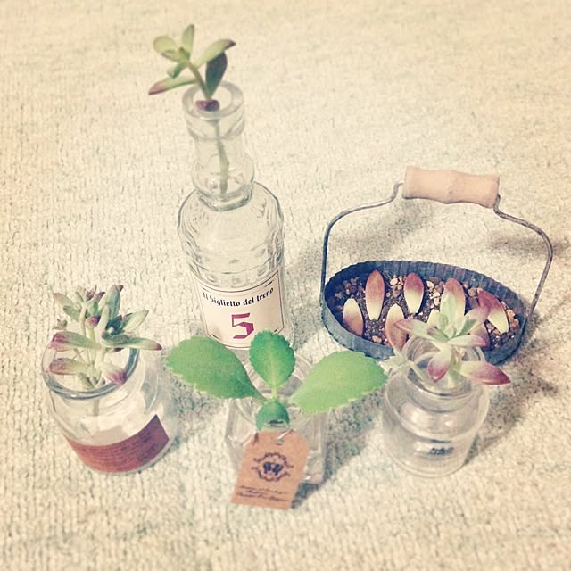 irie38さんの実例写真
