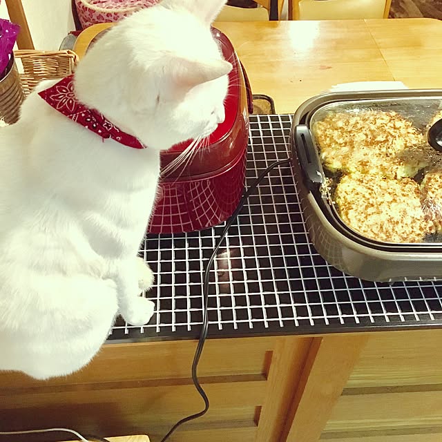 yucoさんの実例写真