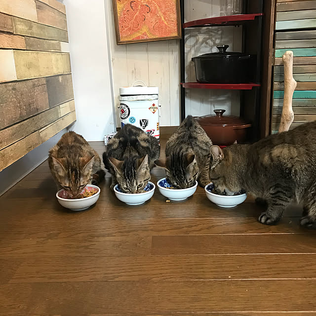 pepeさんの実例写真