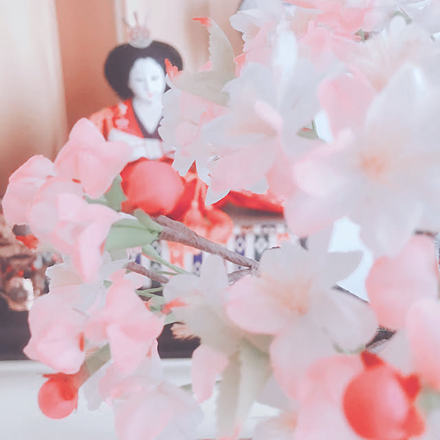 chisaさんの実例写真
