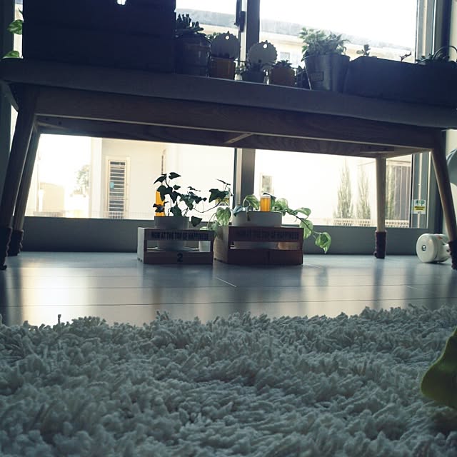 Su-san-chiさんの実例写真