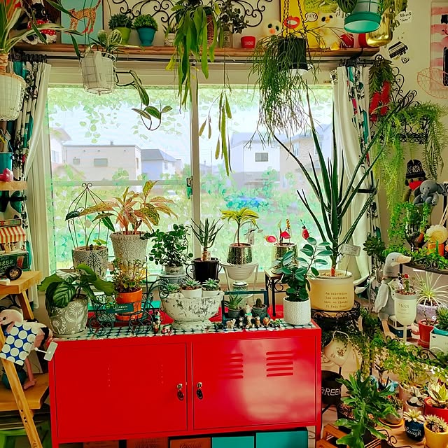 nacchanさんの部屋