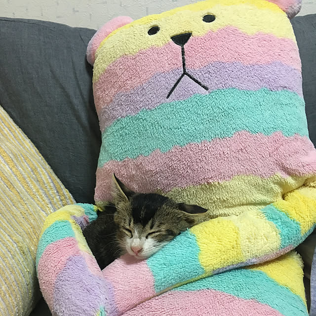 yukinkoさんの実例写真