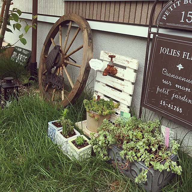 Tomominさんの実例写真