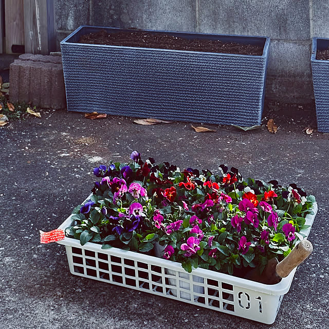 chacoさんの実例写真