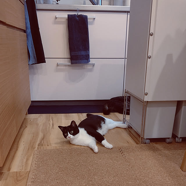 hihaさんの実例写真