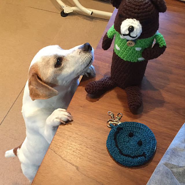 nanaさんの実例写真