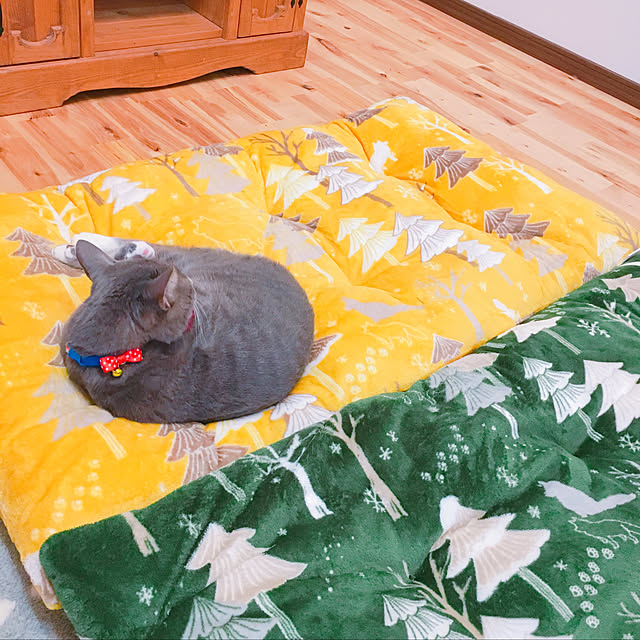 Yuさんの実例写真