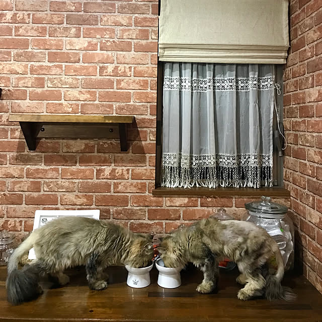 butachanさんの実例写真