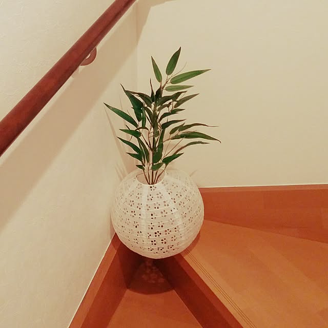 aquaさんの実例写真