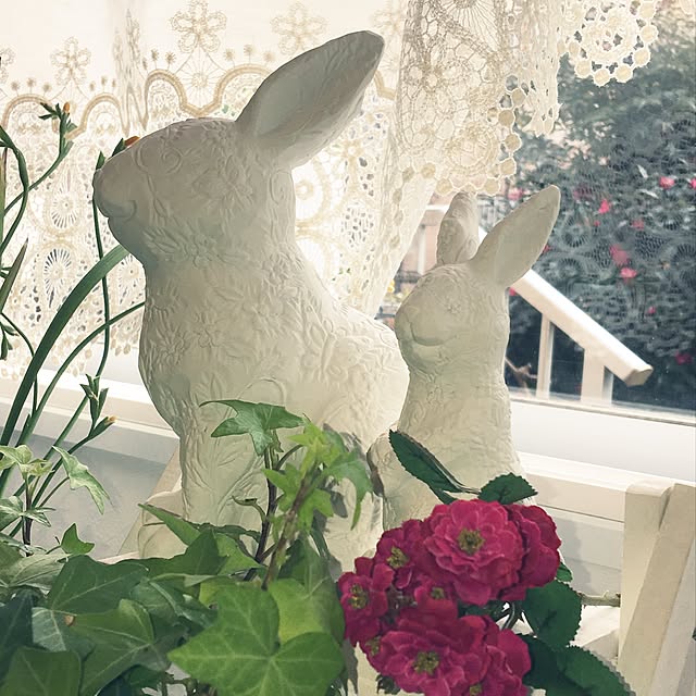 Sakura_hanaさんの実例写真