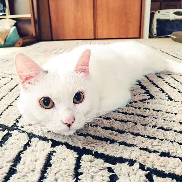 MIPORINNさんの部屋