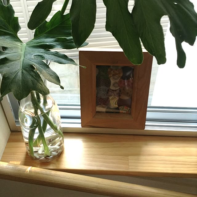 Kenroさんの実例写真