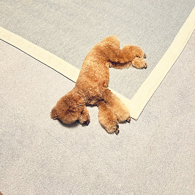 nanさんの実例写真