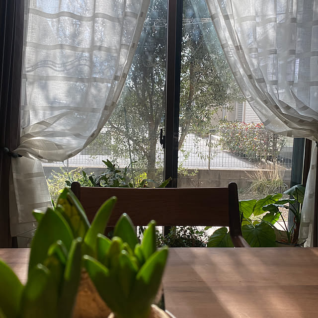taakoさんの部屋