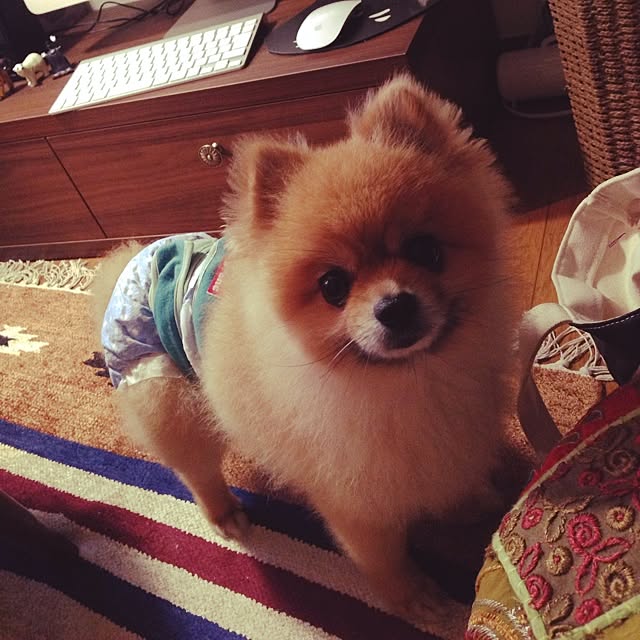 mujilさんの実例写真