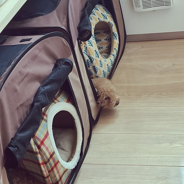 yumi.grandsaisonさんの部屋