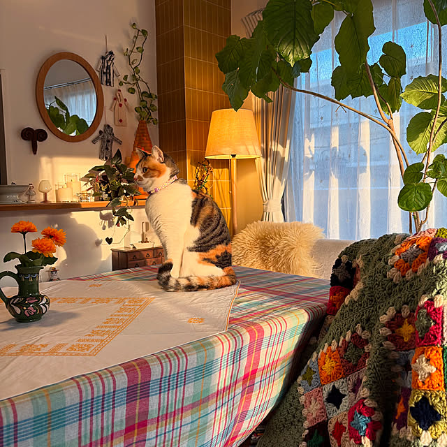 ochoriさんの実例写真