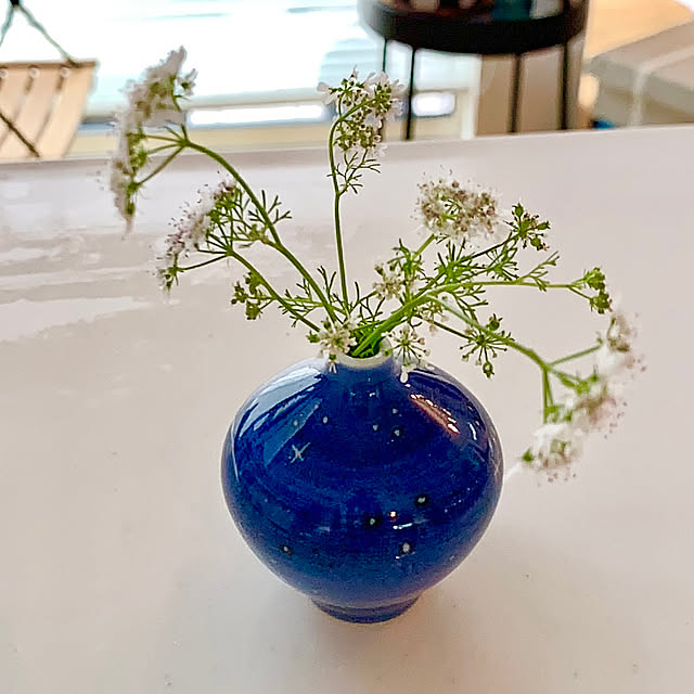 Minteaさんの部屋